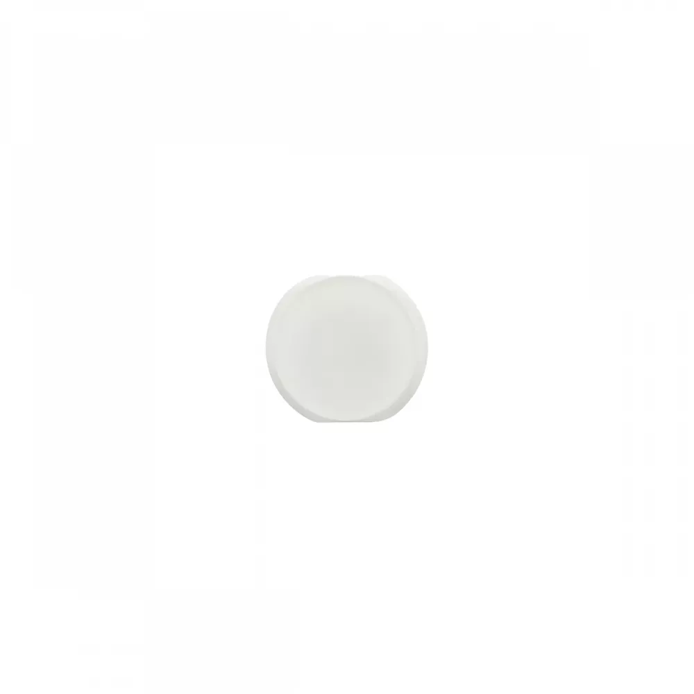 iPad Air White Home Button